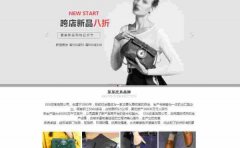 企業(yè)網(wǎng)站設計的原則和技術