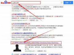 山東德泰機(jī)械制造集團(tuán)跟本公司簽訂網(wǎng)站推廣項目