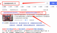 宣威市*龍自動化設(shè)備有限公司網(wǎng)站建設(shè)有創(chuàng)意的主題設(shè)計(jì)