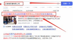 云南農*昭通農業(yè)投資發(fā)展有限責任公司網(wǎng)站建設可視化建站作品欣賞