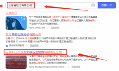 云南怒江州東*大峽谷生物城有限責(zé)任公司網(wǎng)站建設(shè)新一代自助建站、智能建站系統(tǒng)