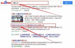 寧夏瑞*科技股份有限公司網(wǎng)站建設(shè)平面設(shè)計(jì)案例作品