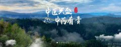 普洱淞*醫(yī)藥集團(tuán)有限公司網(wǎng)站建設(shè)新一代自助建站、智能建站系統(tǒng)