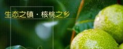 楚雄市綠*源農業(yè)發(fā)展有限公司網(wǎng)站建設有創(chuàng)意的主題設計