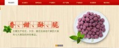 紅太*食品(榮成)有限公司制作網(wǎng)站新一代自助建站、智能建站系統(tǒng)