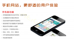 手機(jī)網(wǎng)站設(shè)計(jì)秘籍:從用戶體驗(yàn)到轉(zhuǎn)化率狂飆
