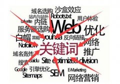 2026年網(wǎng)站搜索引擎優(yōu)化(SEO)全流程實操指南